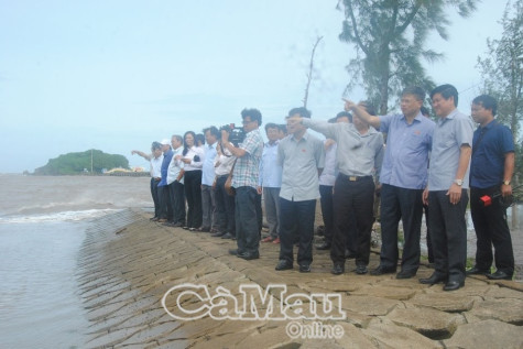 Phó Chủ nhiệm Ủy ban Đối ngoại của Quốc hội Nguyễn Sỹ Cương khảo sát đê biển Tây