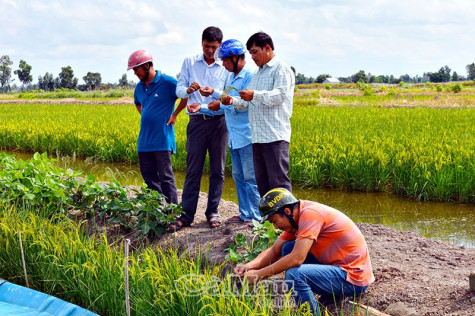 Chuyển dịch trên vùng đất mía