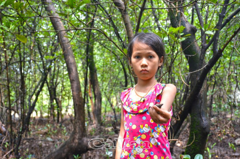 Nuôi ước mơ đi học