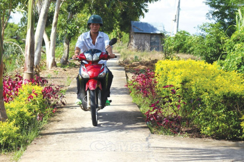 Sinh khí mới ở lung Bầy Hầy
