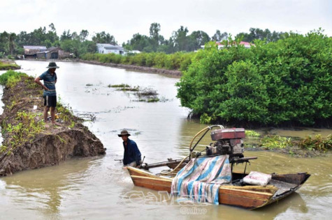 Vụ mùa mới