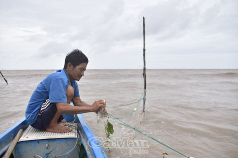 Lênh đênh “đời cá đối”