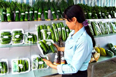 Rau sạch lên phố