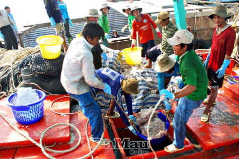 Cửa biển Khánh Hội bị bồi lắng