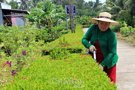 Nét đẹp tuyến đường nông thôn mới