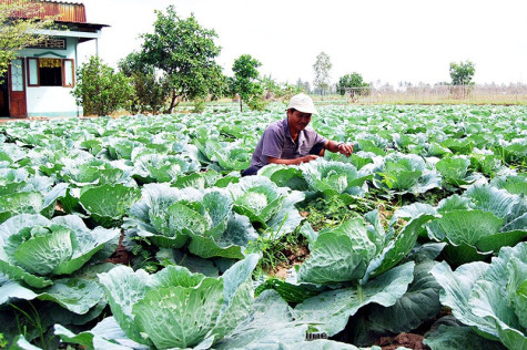 Khởi sắc đời sống đồng bào Khmer