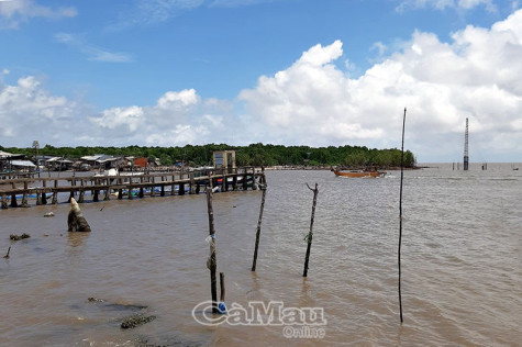 Bài 1: Nguy cơ mất đai rừng