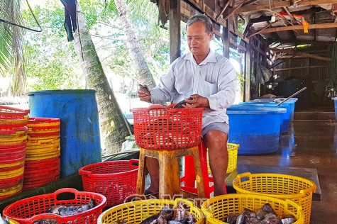 Lao đao với nghề