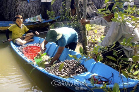 Ổn định đời sống đồng bào dân tộc