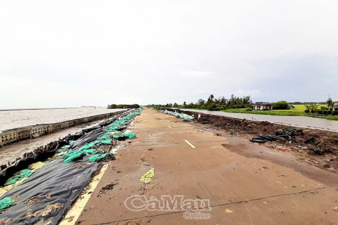 Bài 2: Chờ giải pháp bền vững
