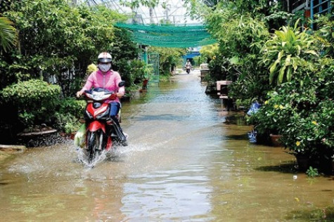 Còn 8 đợt triều cường tại các tỉnh ven biển Nam Bộ
