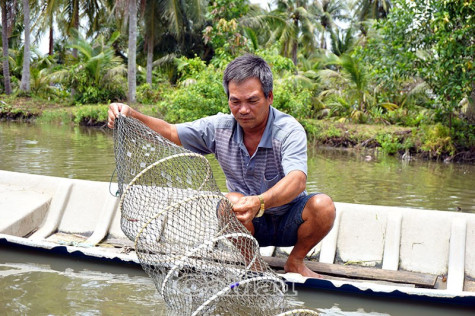 Sức bật Phong Lạc