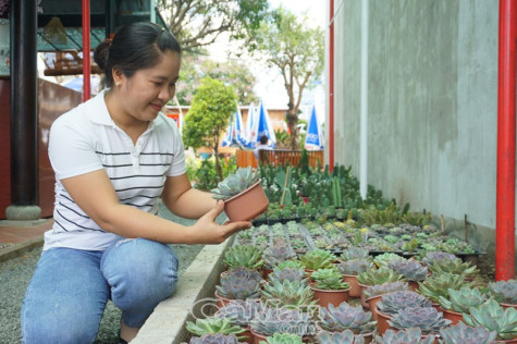 Chắt chiu nuôi dưỡng đam mê