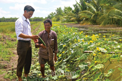 Đa dạng các mô hình sản xuất