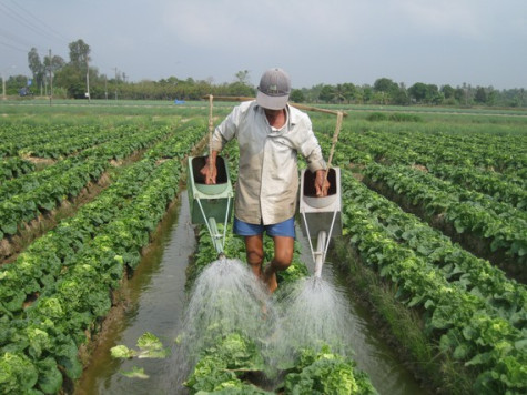 ĐBSCL: Lợi nhuận tăng thêm 10.672 tỷ đồng từ chuyển đổi cây trồng