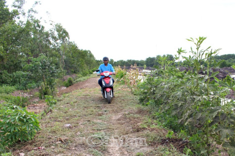 Khắc khoải Mai Hoa