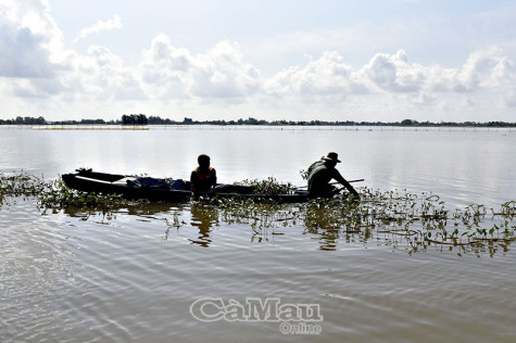 Qua vùng nước nổi
