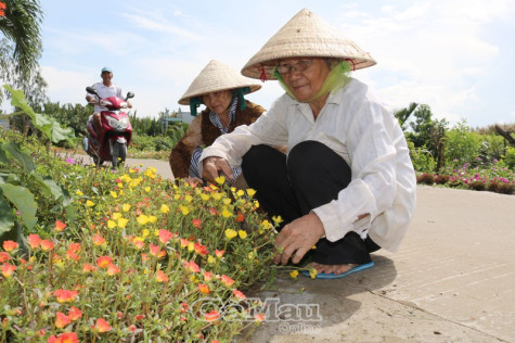 Khánh An nông thôn mới  kiểu mẫu không còn xa