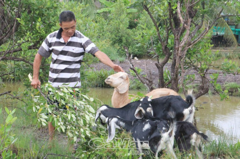 Đồng hành cùng nông dân phát triển kinh tế
