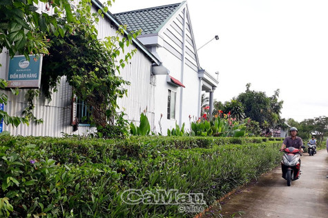 Khởi sắc Ông Định