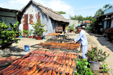 Khánh Hội 22 năm sau bão