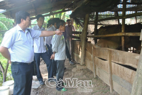 Nhiều đề tài, dự án khoa học và công nghệ đưa vào ứng dụng và nhân rộng