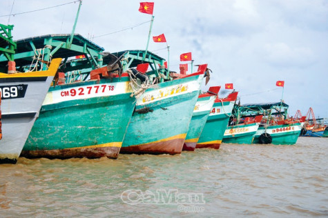 Hành trình gỡ bỏ chiếc "thẻ vàng“  của Uỷ ban Châu Âu