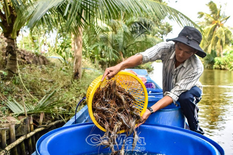 Kỳ vọng từ phiên họp “hạt nhân”