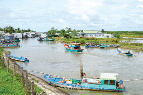 Làng biển Khánh Tiến mùa chướng