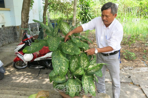 Cơ sở y tế  Xanh - sạch - đẹp