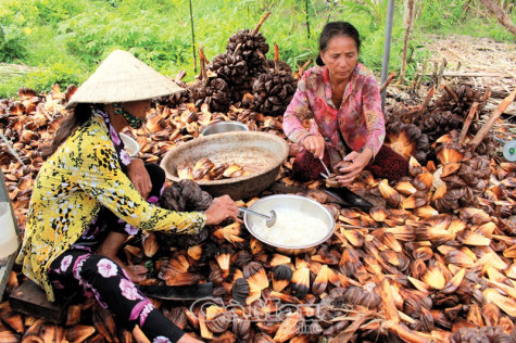 Quả ngọt vùng sông nước