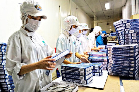 Để dự toán thu ngân sách năm 2020 sát thực