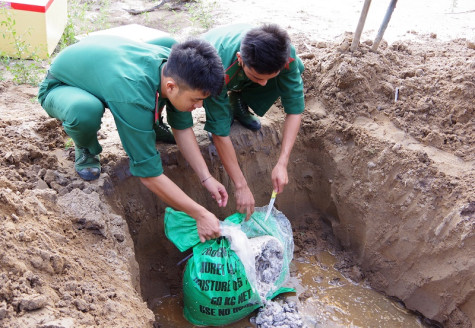 Tiêu huỷ gần 100 kg hải sâm dừa