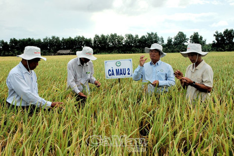 Khoa học và công nghệ đi vào thực tiễn đời sống