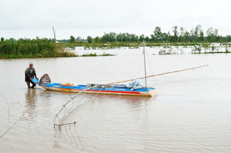 Nhịp sống  Quản lộ Phụng Hiệp