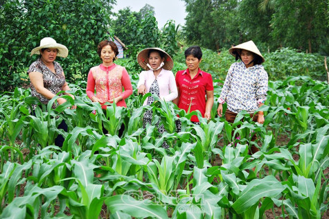 Cầu nối giảm nghèo