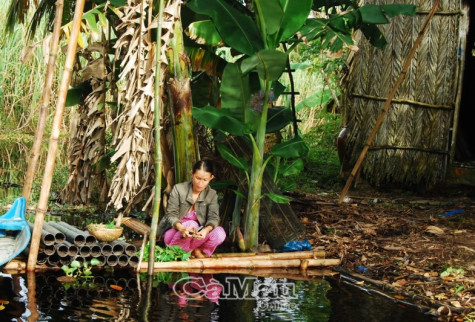 Xin chủ trương để hộ dân xây nhà trên đất lâm nghiệp