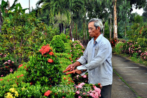 Tâm tình người hai quê