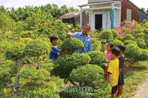 Những vườn cây cảnh bạc tỷ