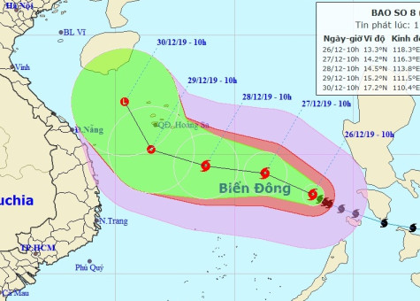 Bão số 8 giật cấp 14; sóng biển cao 6-8m; biển động dữ dội