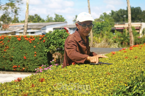 Nỗ lực nâng chuẩn  nông thôn mới