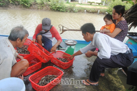 Tập trung phát triển nền nông nghiệp xanh