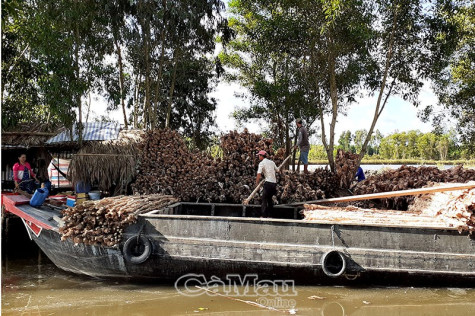 40 năm đổi mới