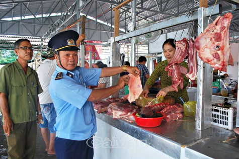 Nông dân cẩn trọng  khi tái đàn heo