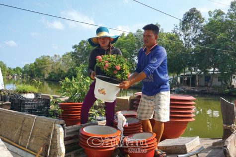 Thương hồ đón xuân