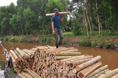 Thông tin nhanh, xử lí kịp thời những vướng mắc để ngành nông nghiệp hoàn thành tốt các chỉ tiêu