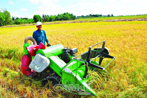 Làn gió mới của kinh tế tập thể