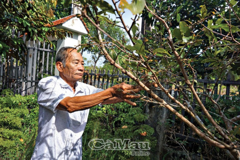 Khởi sắc vùng căn cứ