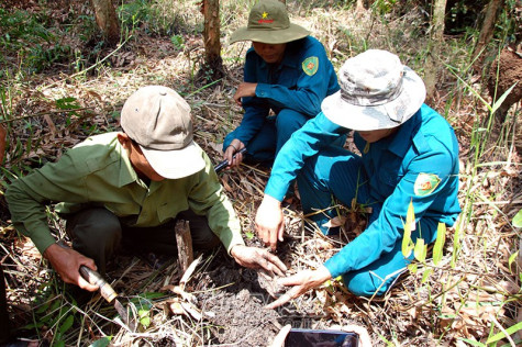 Oằn mình chống hạn mặn- Bài 1: Vụ lúa đầy gian nan