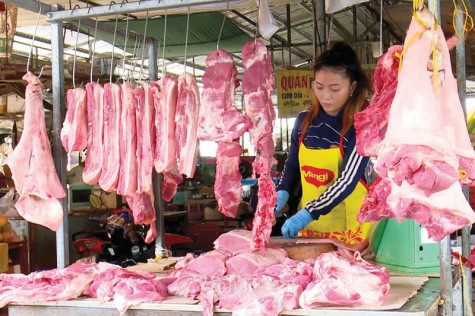 Giá heo hơi đang chững lại